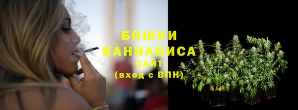 индика Нягань