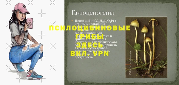 индика Нягань