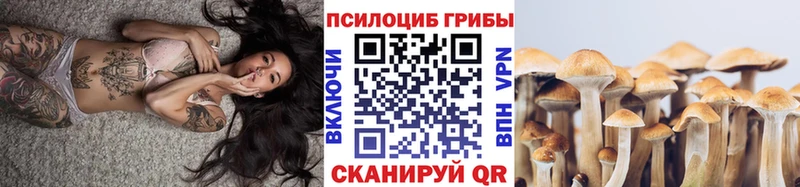 как найти закладки  кракен как войти  Псилоцибиновые грибы MAGIC MUSHROOMS  Чехов 